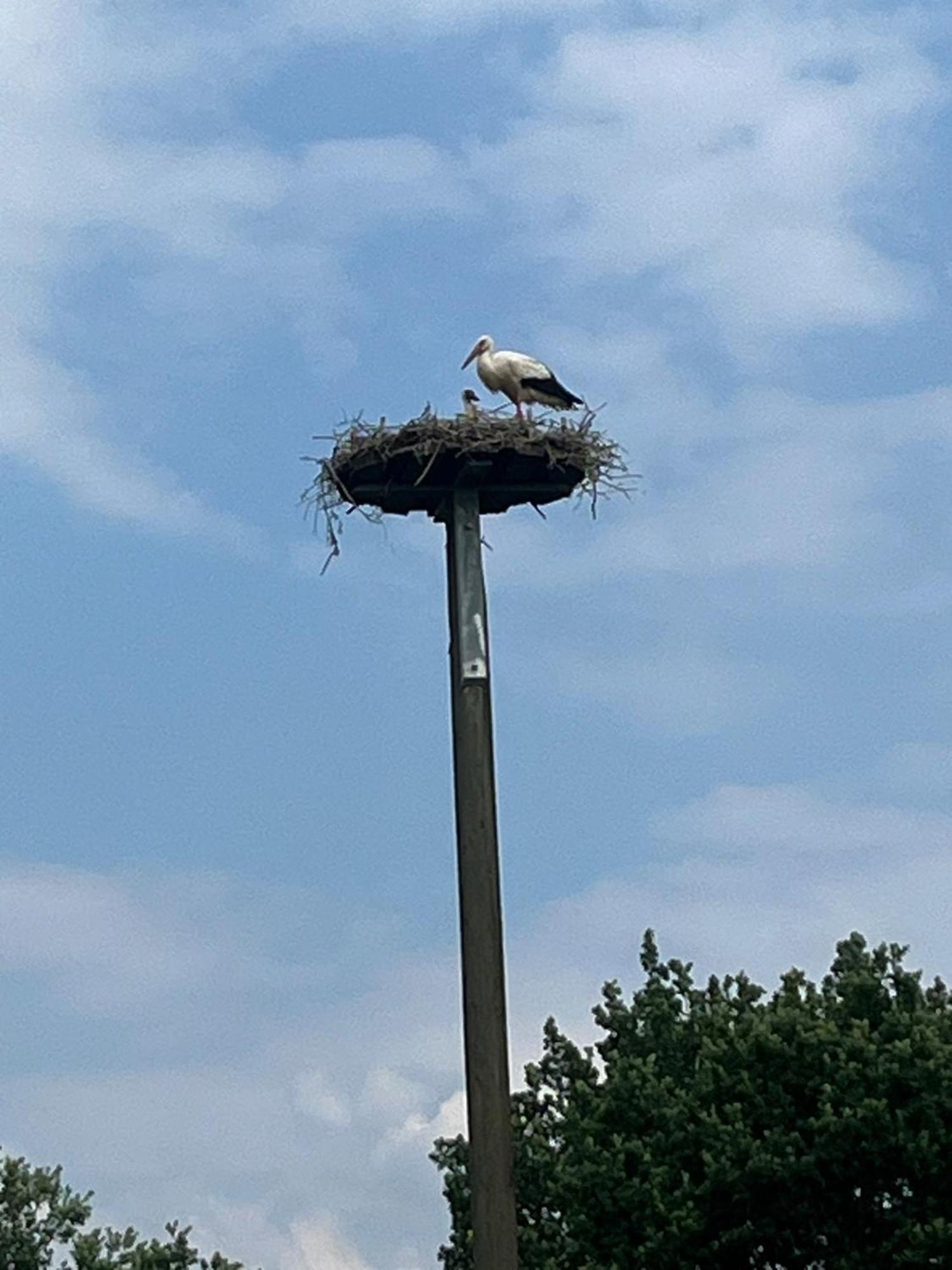 Ferienwohnung Voerde-Goetterswickerhamm-"Die Perle Am Niederrhein" Gotterswickerhamm Esterno foto